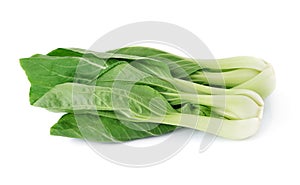 Bok choy vegetable