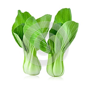 Bok choy vegetable on white background