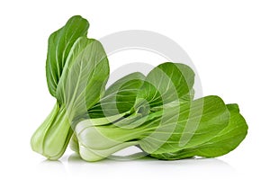 Bok choy vegetable on white background