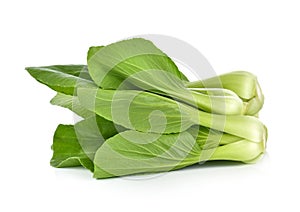 Bok choy vegetable on white background.