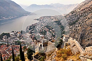 Boka Kotorska