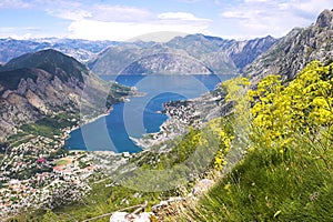 Boka Kotorska bay panorama