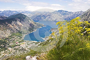 Boka Kotorska bay panorama photo