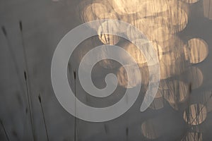 Grass, abstract, background..
