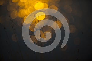 Grass, abstract, background..