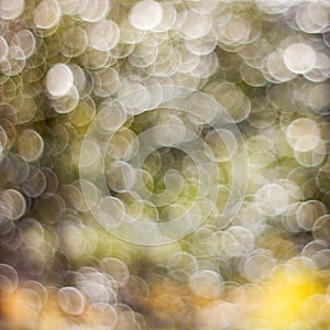 Bokeh background