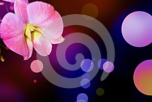 Bokeh and background