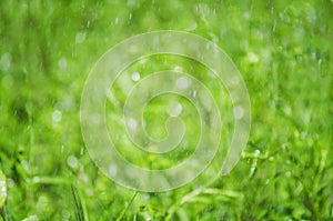 Bokeh on a blurred green summer background. Backgrounder for design