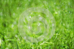 Bokeh on a blurred green summer background. Backgrounder for design photo