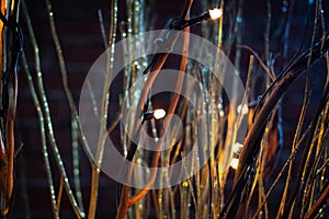 Bokeh blurred photograph of sparkling glowing fairy lights with brown twigs and golden glitter