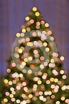 Bokeh Christmas Tree lights