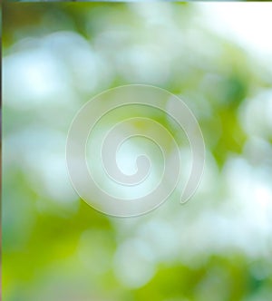 Bokeh green color background nature soft natural