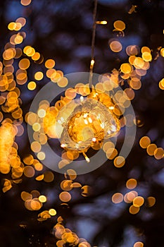 Bokeh Tree Light Decoration - Welcoming House and the fabulous party and Christmas night - Outdoor Trees have been decorated with