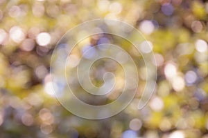 BokehArt & Background blur color