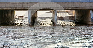 Bokek River flowing into the Dead Sea photo