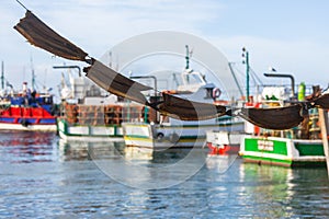 Bokkoms hanging and ready to sell in Kalk Bay