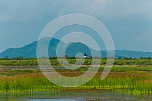 Bokor Mountain National Park in Kampot, Cambodia