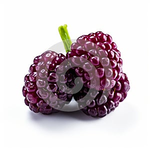 Bold Boysenberry Product Photography With Fresh Black Raspberries