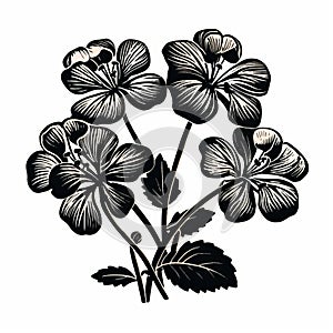 Bold And Elegant Floral Engraving With Chiaroscuro Woodcut Style photo