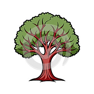 Bold Illustration of Sugarberry Tree photo