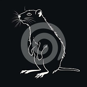 Bold Silhouette Illustration Of A Small Rat On A Contrasting Background
