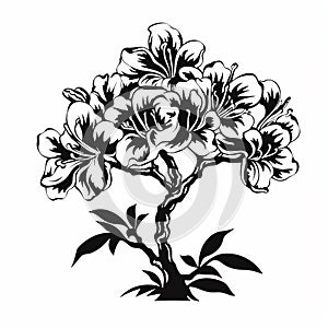 Bold Stencil Illustration Of Asian Azalea Tree In Black And White