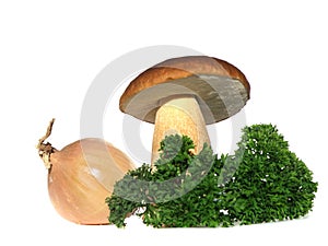 Bolete mushroom with onion and parsley isolated on