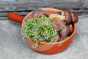 Boletes and moss in terracotta pan