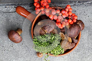 Boletes and rowan in terracotta pan