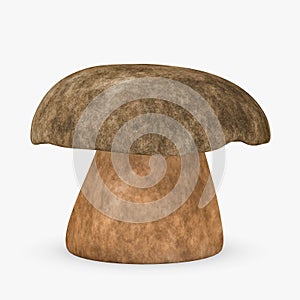 Boletus aereus