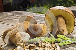 Boletus Edilus mushrooms on a wooden table â€“ fresh and dried