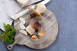 Boletus edulis, cepe, porcini mushrooms washed on gray concrete