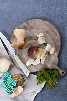 Boletus edulis, cepe, porcini mushrooms washed on gray concrete