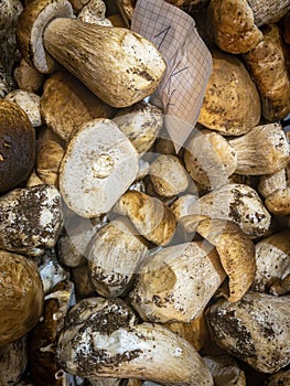 Boletus Edulis mushrooms in a box of a market