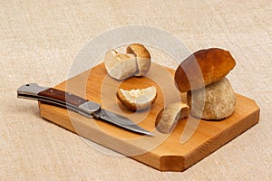 Boletus edulis mushrooms on cutting board