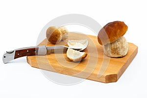 Boletus edulis mushrooms on cutting board - isolat