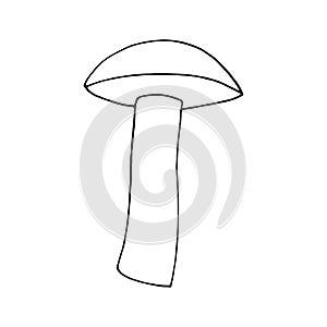 boletus mushroom sketch hand drawn doodle. single element for design card, icon, poster, , monochrome, minimalism