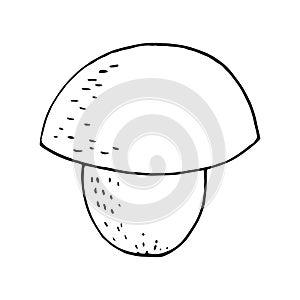 Boletus mushroom sketch hand drawn doodle. single element for design card, icon, poster, , monochrome, minimalism. nature, plant,