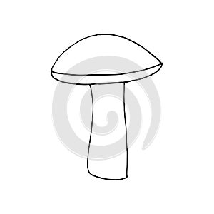 boletus mushroom sketch hand drawn doodle. single element for design card, icon, poster, vector, monochrome, minimalism