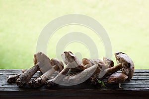 Boletus mushrooms and aspen mushrooms