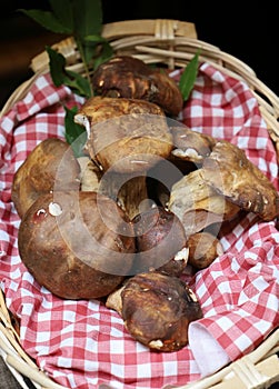 Boletus mushrooms in a market stall