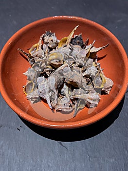 Bolinus brandaris or murici, Plate of seafood