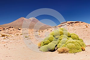 Bolivia - Eduardo Avaroa National Park photo