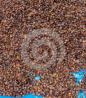 Bolivia La Paz El Alto district market coffee husks