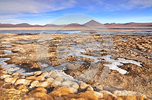 Bolivia, Laguna Colorada, Red Lagoon, Shallow Salt Lake in the Southwest of the Altiplano of Bolivia, within Eduardo Avaroa Andean