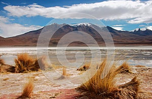 Bolivia mountains and lake lagoon panorama