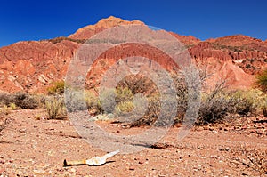 Bolivia, Tupiza