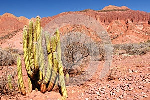 Bolivia, Tupiza photo