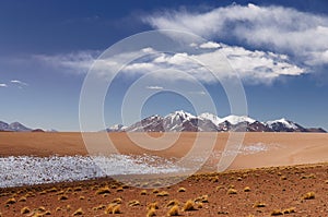 Bolivian andes