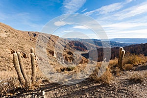 Bolivian canyon near Tupiza,Bolivia